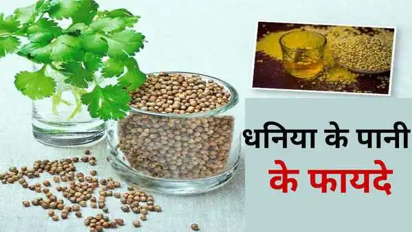 Benefits Of Coriander